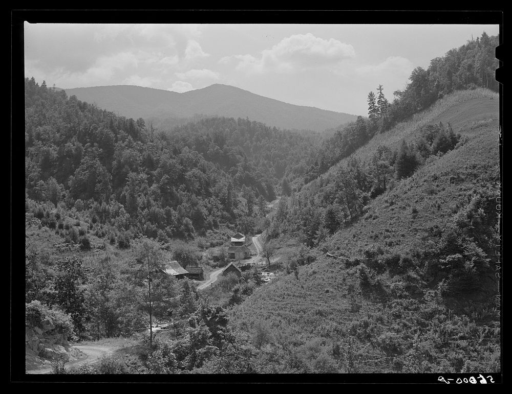 [Untitled photo, possibly related to: Mountain homes along creek showing tobacco patch and corn field in Eastern Kentucky].…