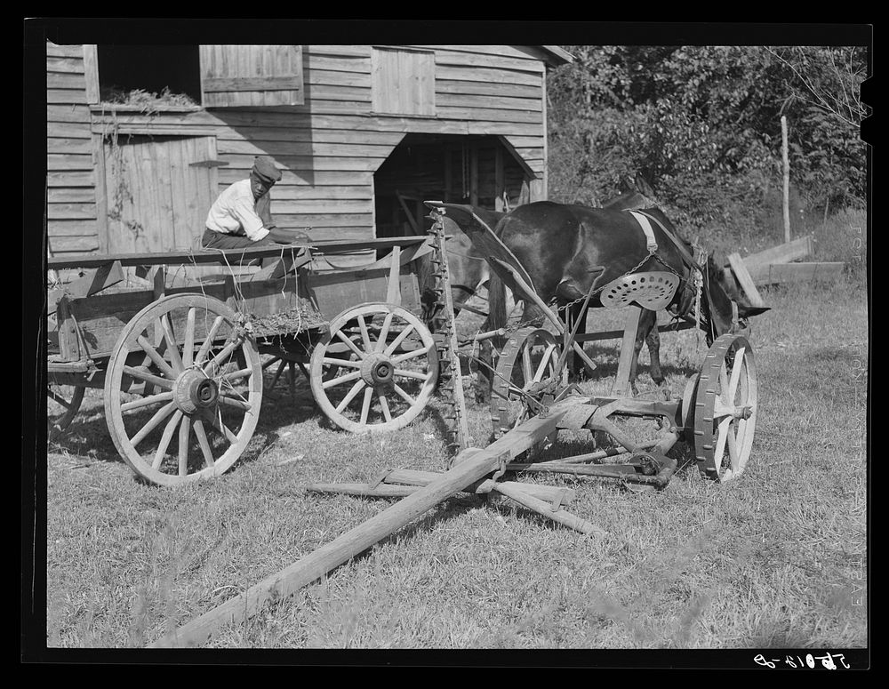 [Untitled photo, possibly related to:  helper with wagon in front of J.V. Harris' barn, nine miles south of Chapel Hill on…