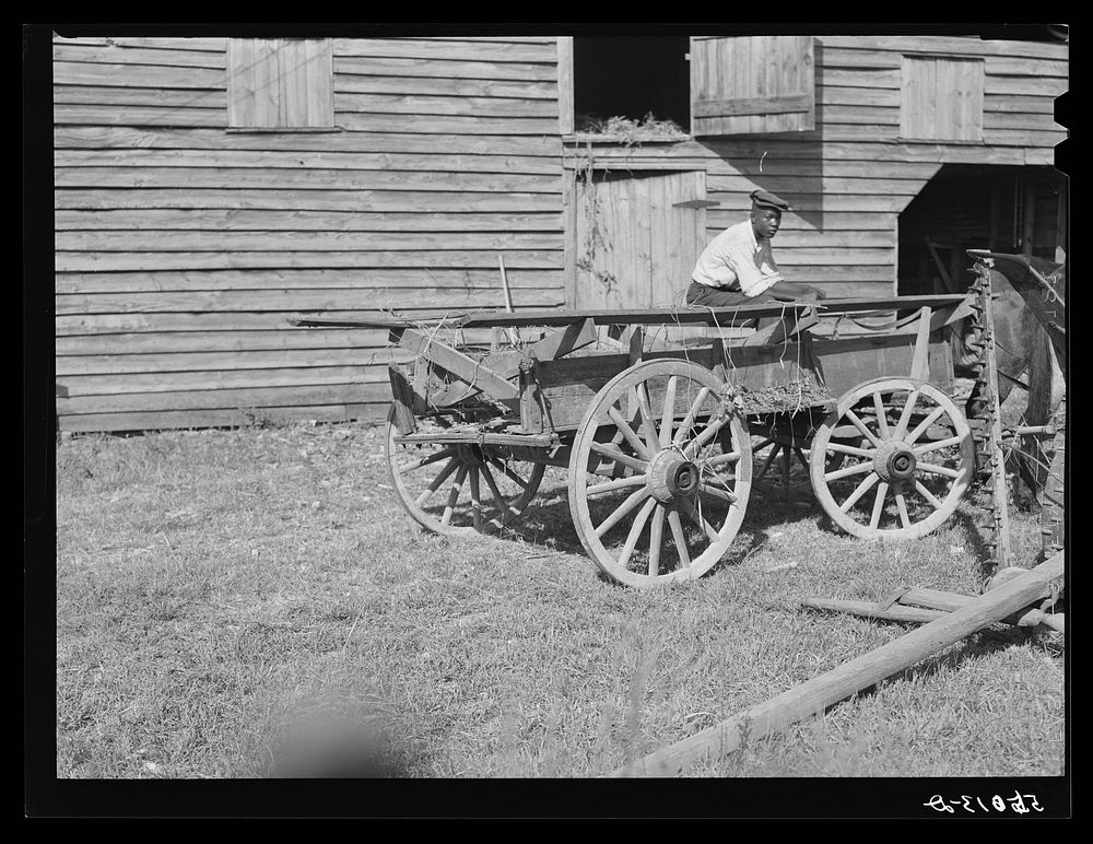[Untitled photo, possibly related to:  helper with wagon in front of J.V. Harris' barn, nine miles south of Chapel Hill on…
