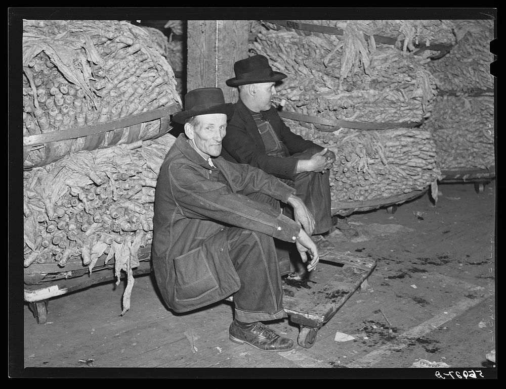 Farmer waiting to sell his tobacco at auction in warehouse. Danville, Virginia. Sourced from the Library of Congress.