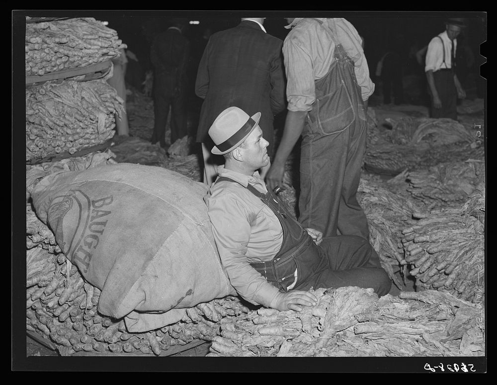 Farmer waiting to sell his tobacco at auction in warehouse. Danville, Virginia. Sourced from the Library of Congress.