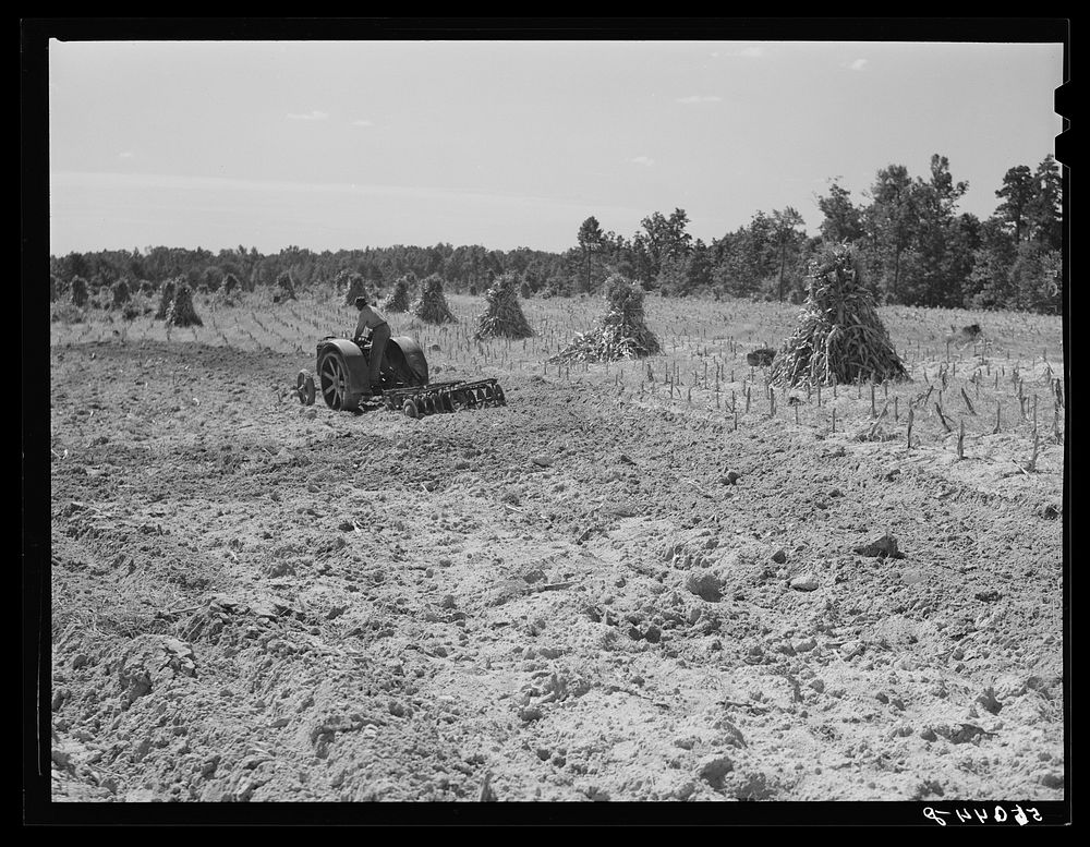 [Untitled photo, possibly related to: CCC (Civilian Conservation Corps) boys seeding and preparing a meadow strip for…