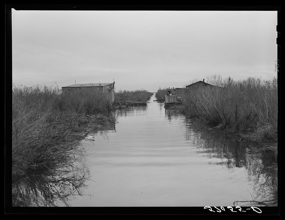 Spanish muskrat trapper's camp with home built piroques (canoes) on the bayou in the marshes near Delacroix Island…