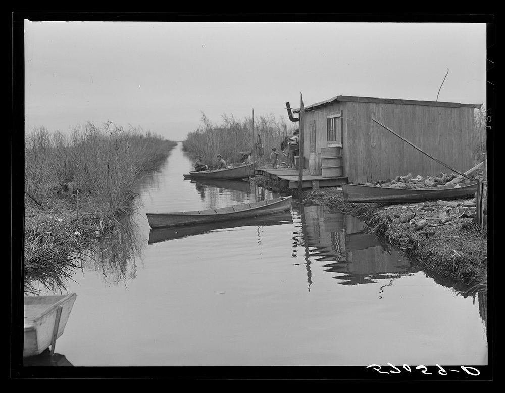 [Untitled photo, possibly related to: Spanish muskrat trapper's camp with home built piroques (canoes) on the bayou in the…