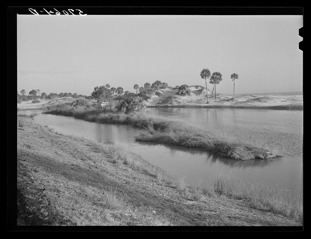 Character of the land along the gulf near Pensacola, Florida. Sourced from the Library of Congress.