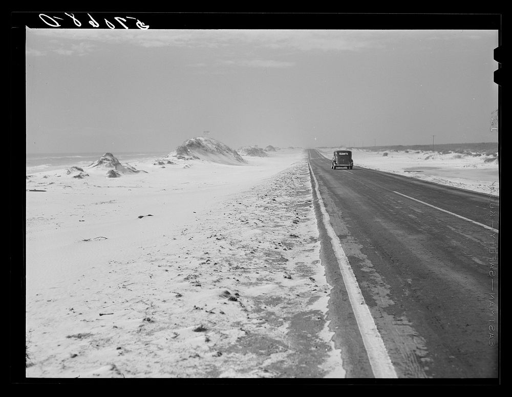 Sand dunes along highway from Pensacola, Florida, along the gulf. Sourced from the Library of Congress.