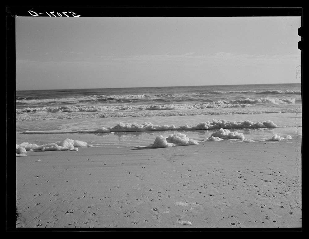[Untitled photo, possibly related to: Sea foam left from incoming tides of the Gulf. Near Pensacola, Florida]. Sourced from…