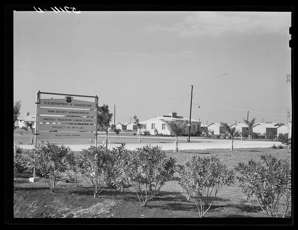 Osceola migratory labor camps built by FSA (Farm Security Administration). Belle Glade, Florida. Sourced from the Library of…