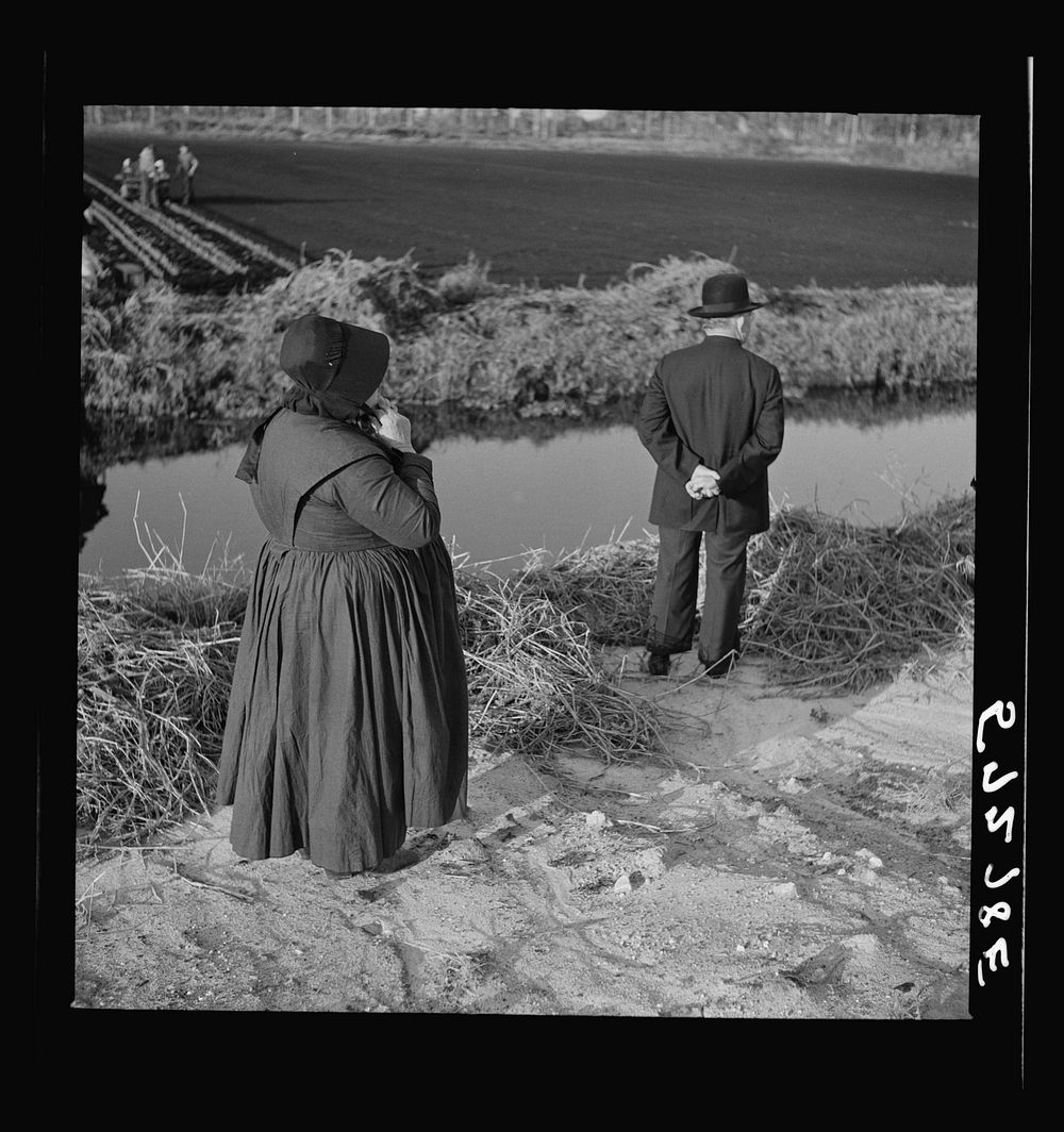 Amish farm couple from Pennsylvania observing farming methods near Sarasota, Florida. Sourced from the Library of Congress.