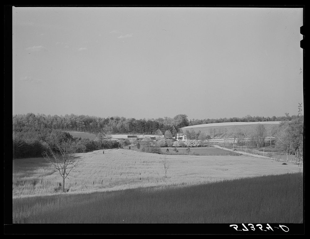 [Untitled photo, possibly related to: Farmers taking in rye after it had been cut near Vienna, Virginia ]. Sourced from the…