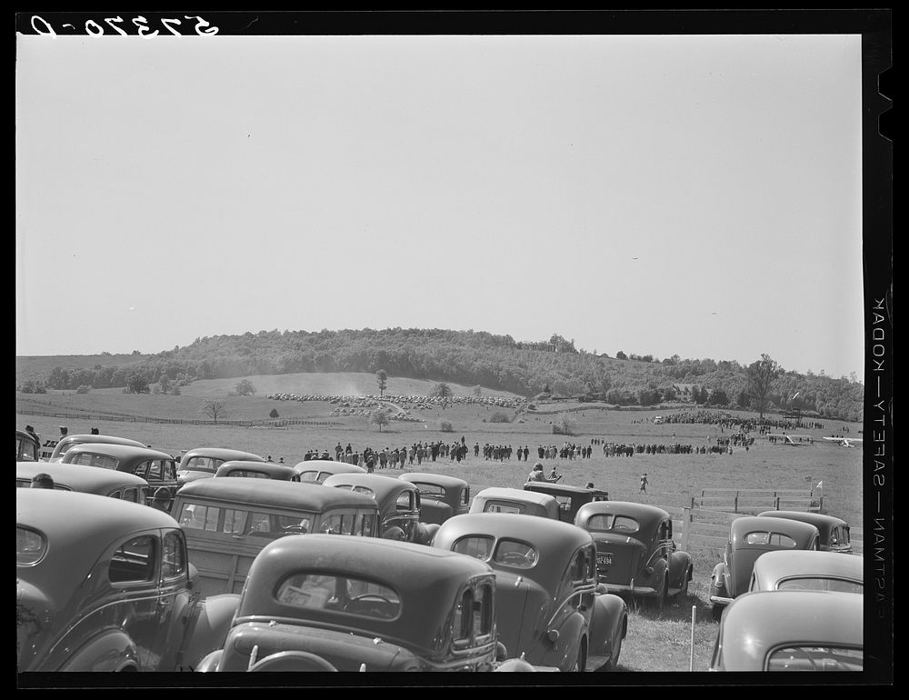 [Untitled photo, possibly related to: Parked cars for spectators. Point-to-Point Cup Horse race. Worthington Valley, near…