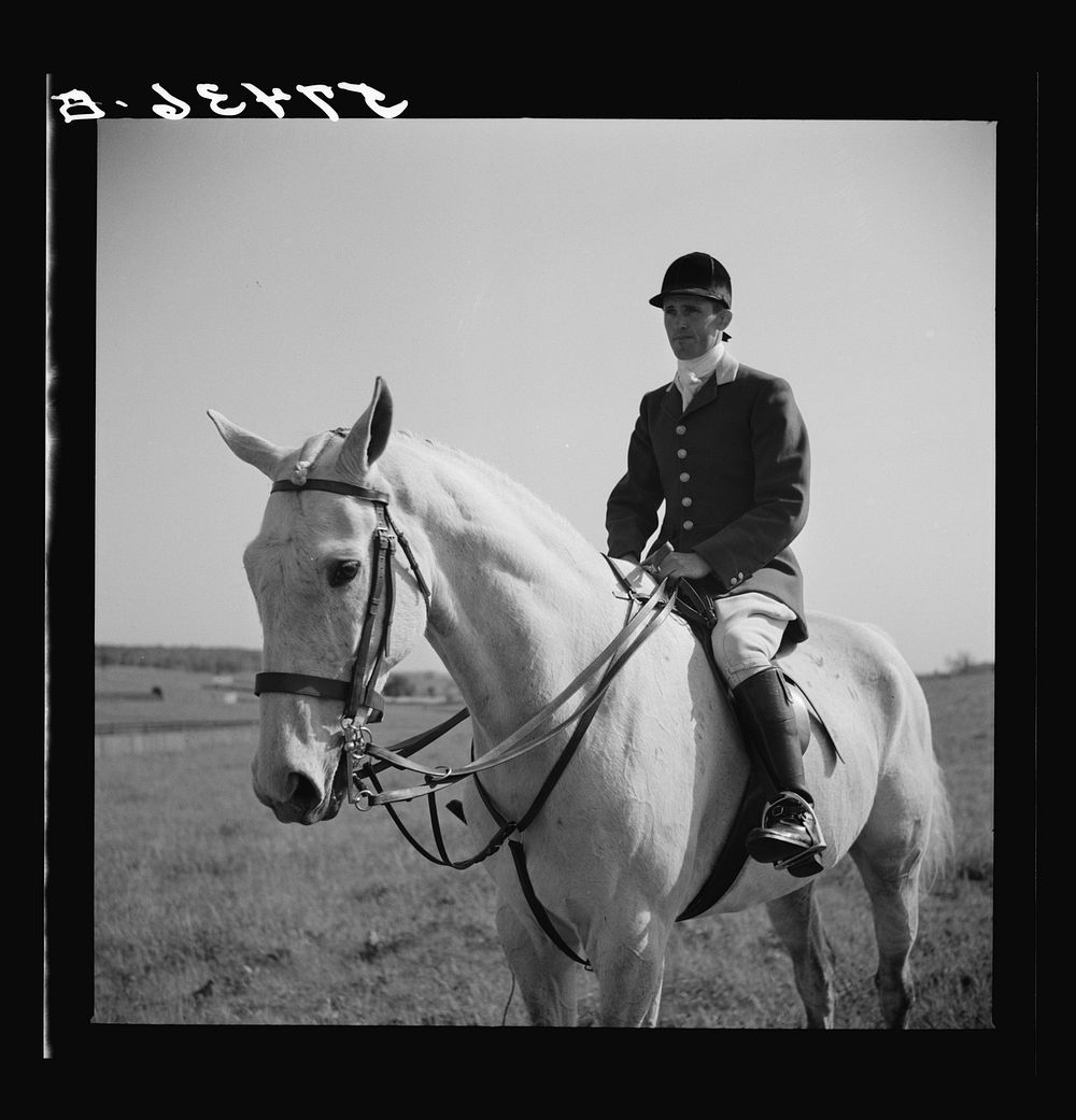 Outrider at Point-to-Point Maryland Hunt Club races. Worthington Valley, near Glyndon, Maryland. Sourced from the Library of…