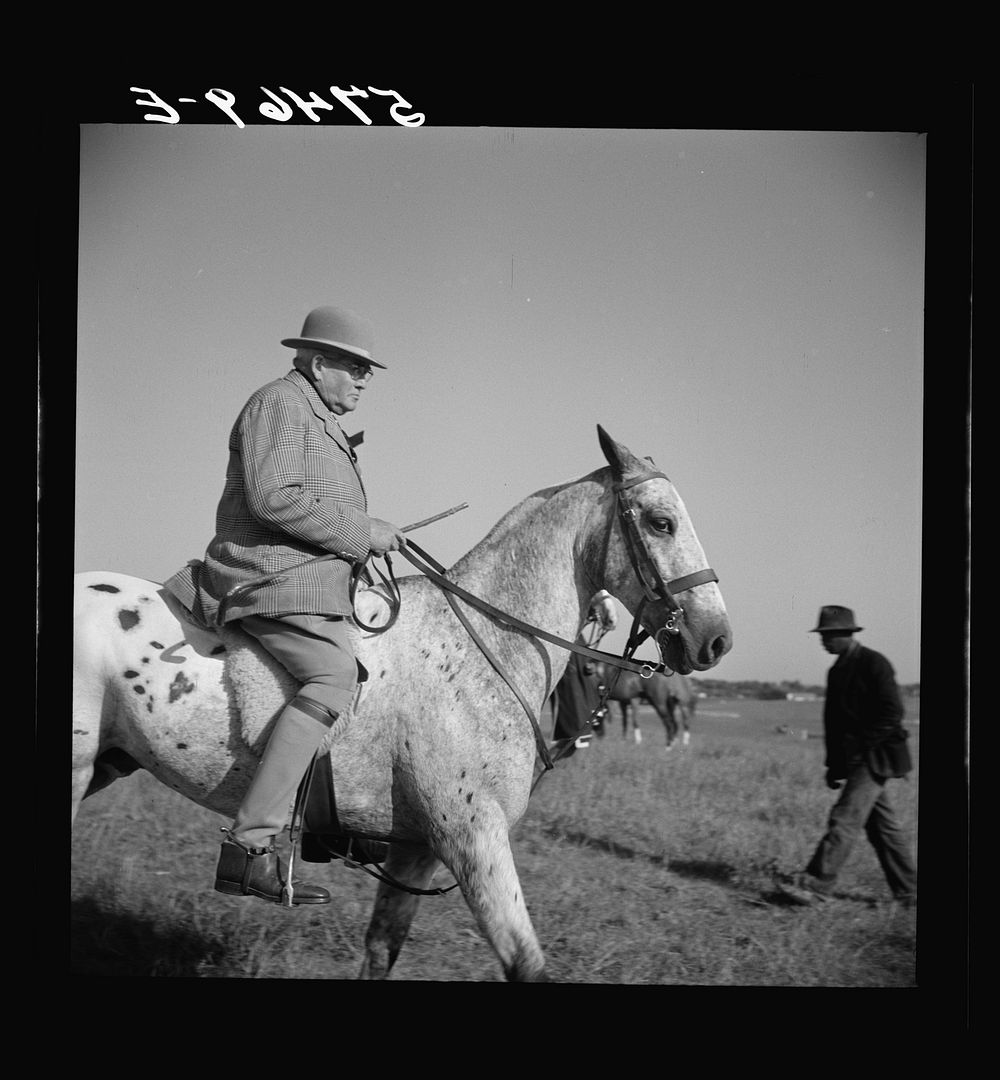 [Untitled photo, possibly related to: Judge at the horse races. Warrenton, Virginia]. Sourced from the Library of Congress.