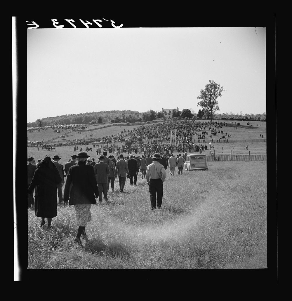 [Untitled photo, possibly related to: Spectators at horse races. Warrenton, Virginia]. Sourced from the Library of Congress.