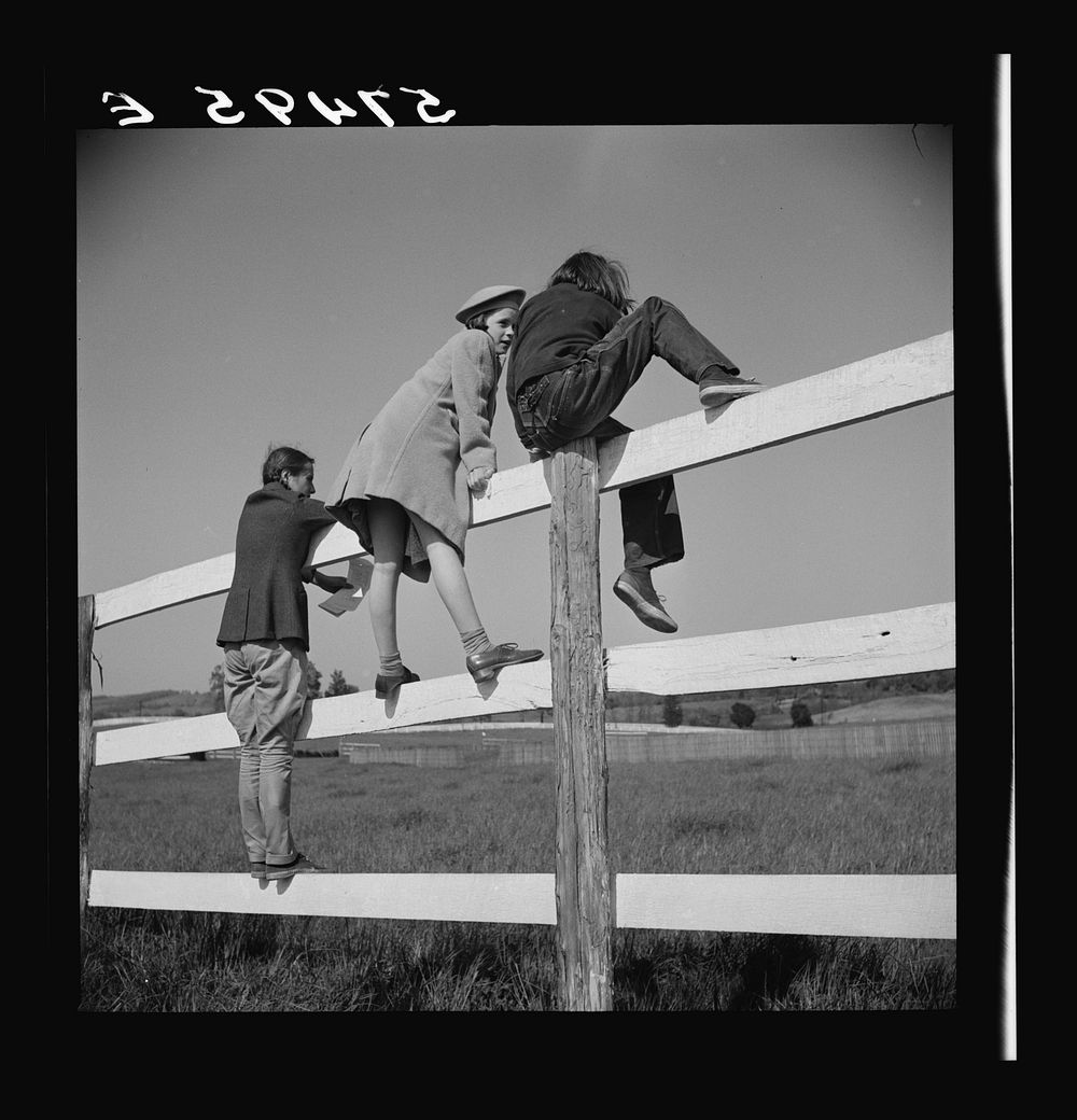 Spectators at horse races. Warrenton. Virginia. Sourced from the Library of Congress.