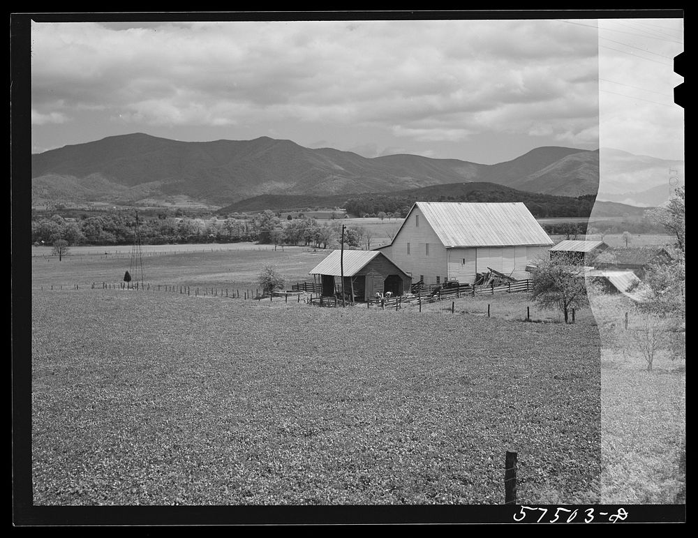 Fertile farmland in the Shenandoah Valley, Virginia. Sourced from the Library of Congress.