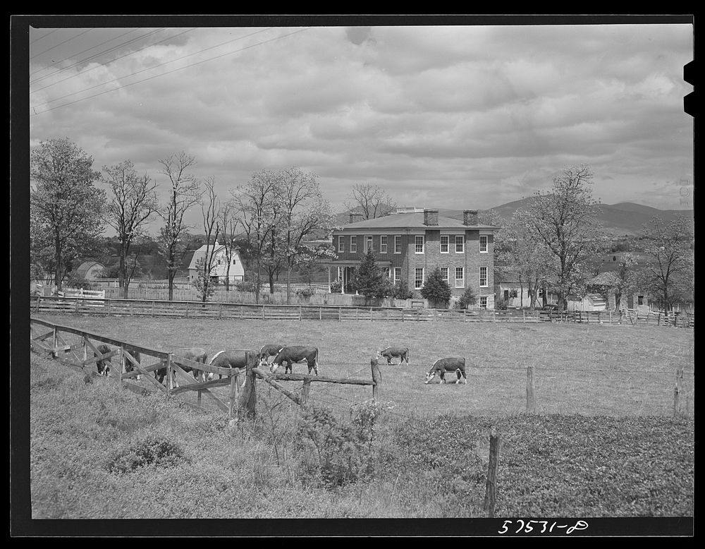 Fertile farmland in the Shenandoah Valley, Virginia. Sourced from the Library of Congress.