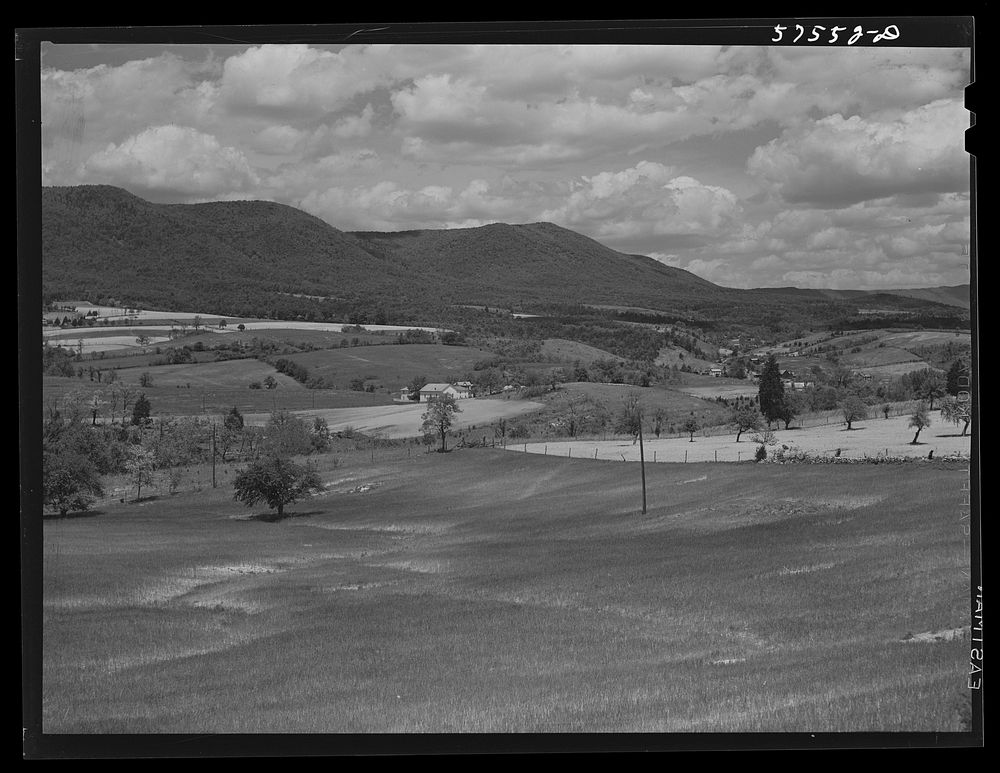 [Untitled photo, possibly related to: Fertile farmland in the Shenandoah Valley from the top of Skyline Drive, Virginia].…