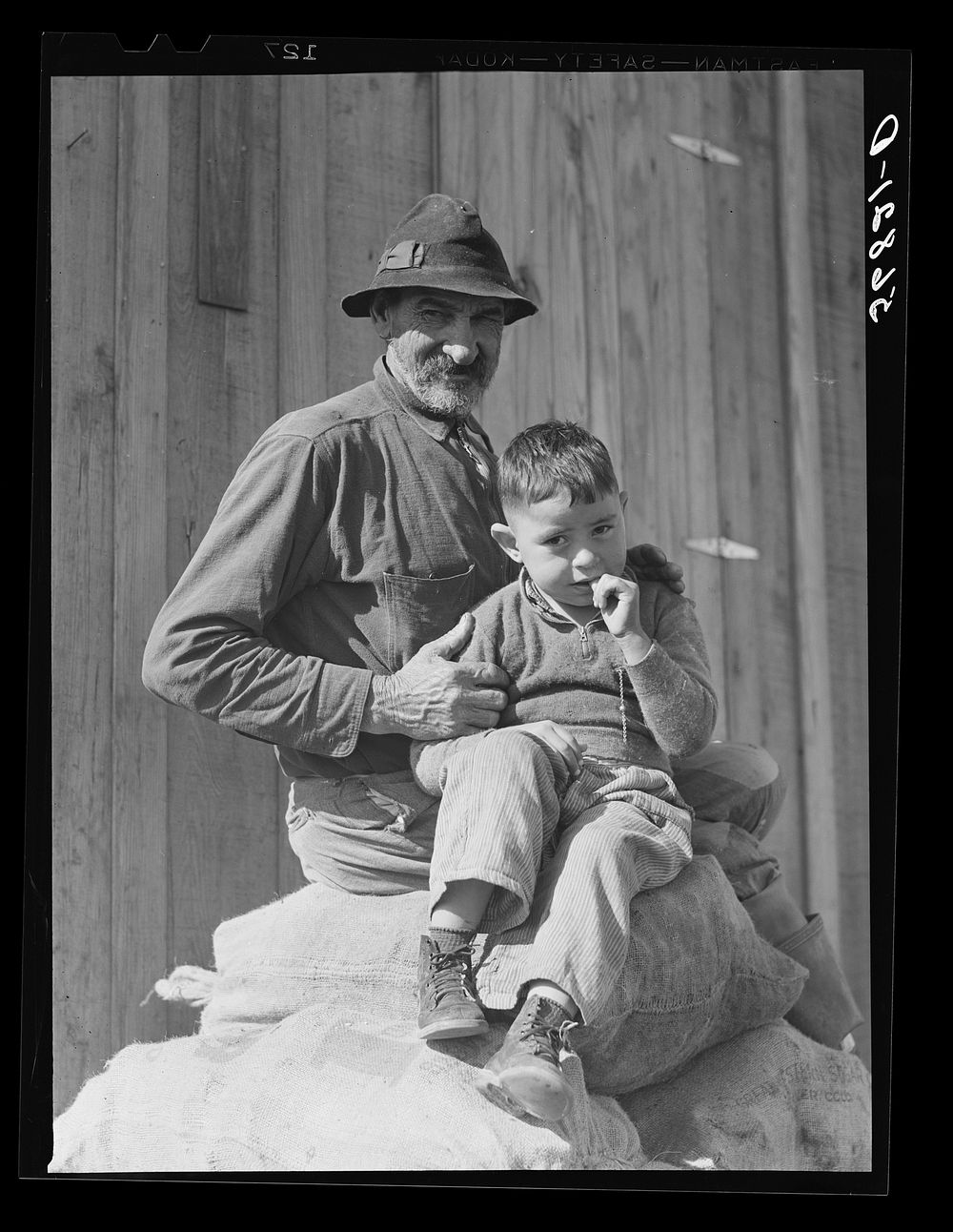 Spanish muskrat trapper and his grandson sitting on sacks of dried muskrat pelts, in front of their camp in the marshes.…