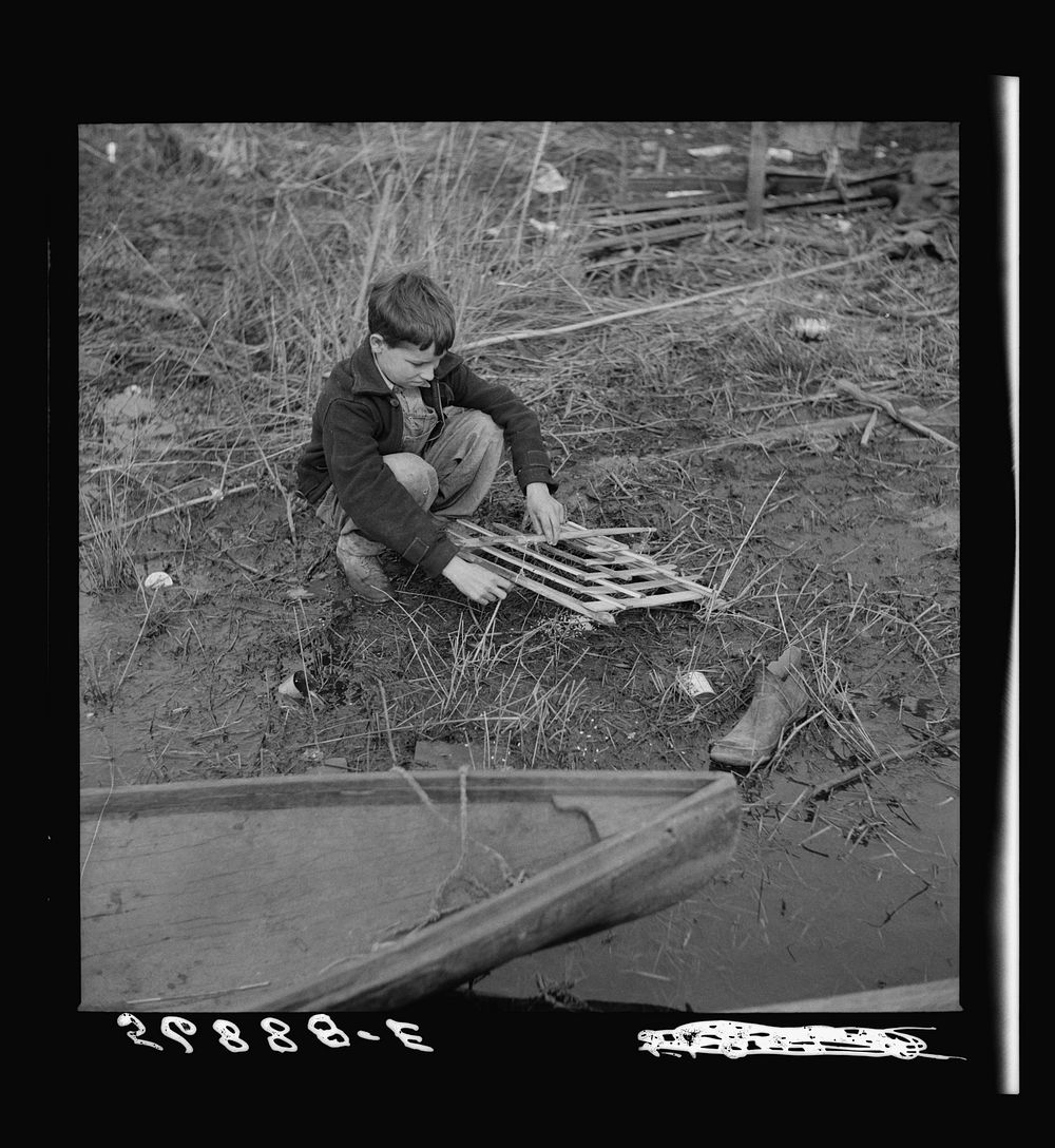 Spanish trapper's son setting the trap which he made to catch birds by his camp in the marshes near Delacroix Island…