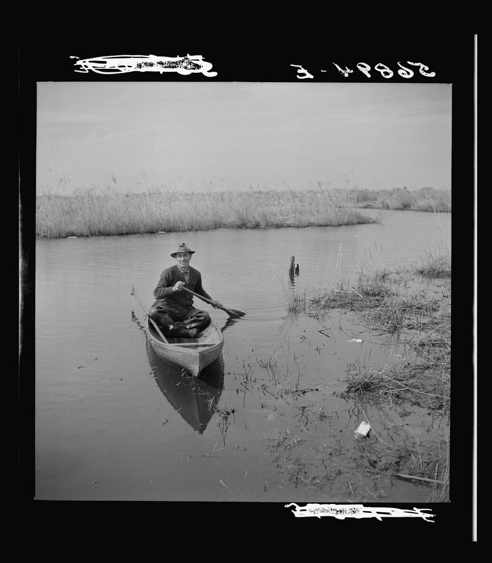 Spanish trapper returning home to his camp in the marshlands near Delacroix Island, Louisana. He has been out in his hand…