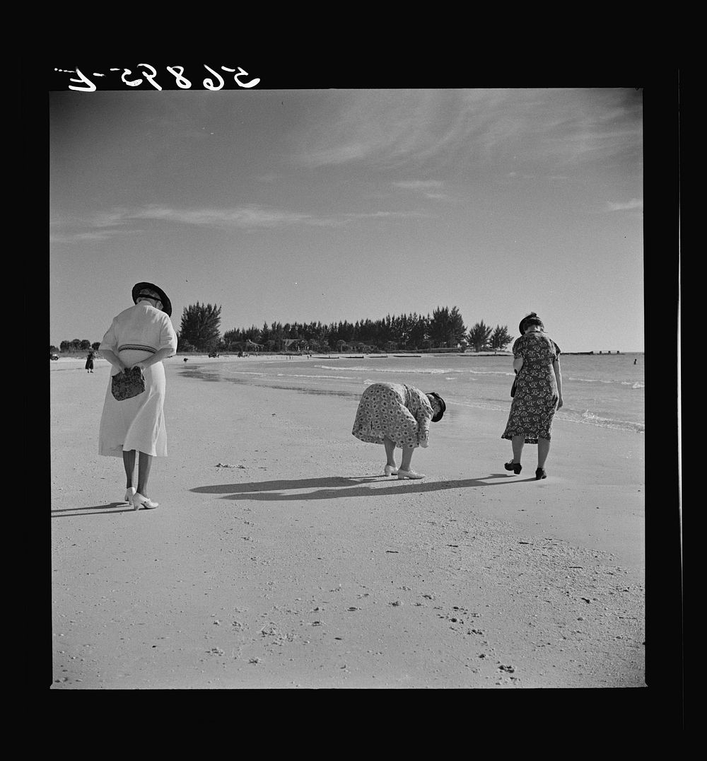 Guests of Sarasota trailer park, Sarasota, Florida, at the beach. Sourced from the Library of Congress.