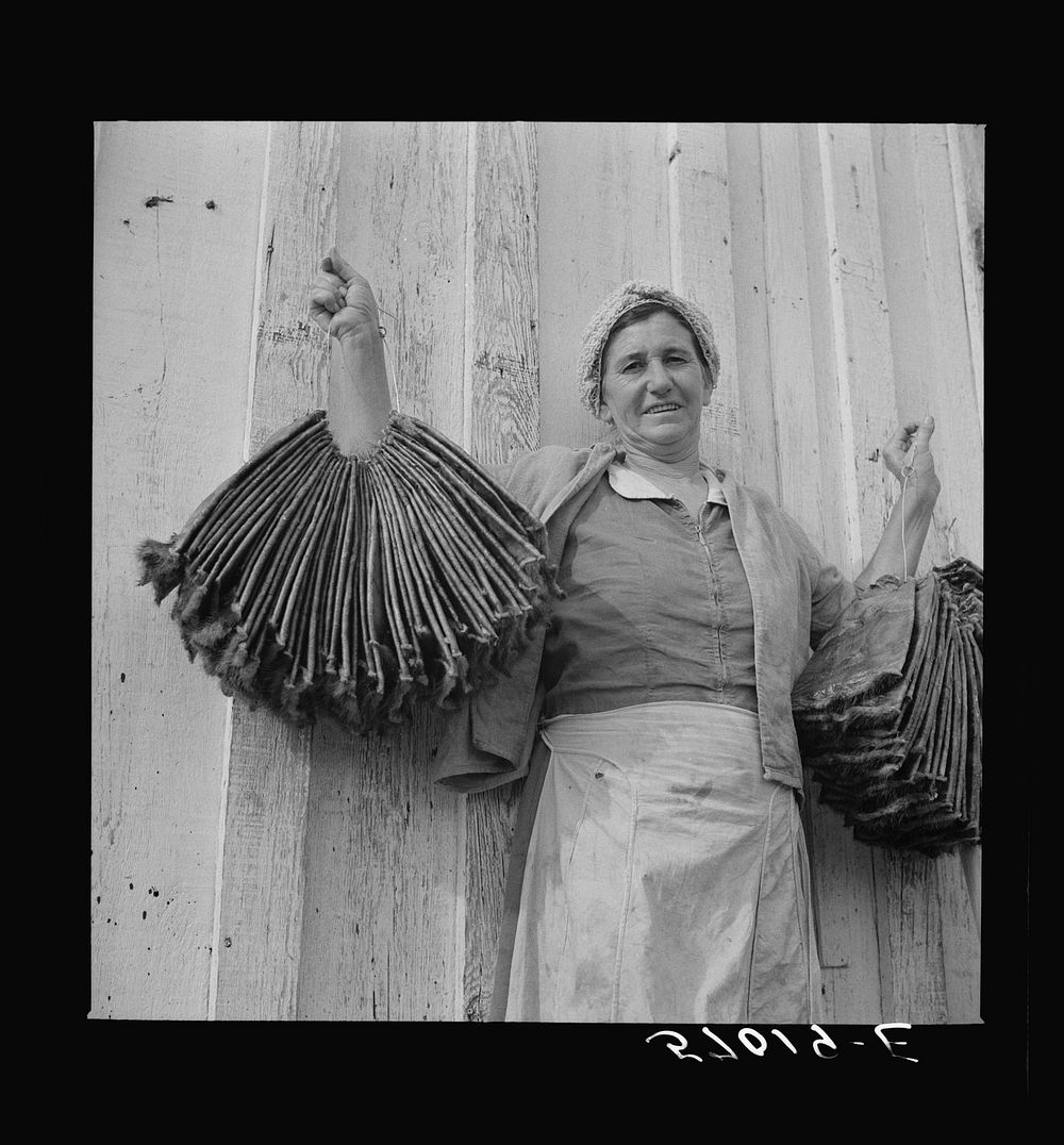 Spanish trapper's wife holding dried muskrat skins iIn front of their camp in the marshes near Delacroix Island, Louisiana.…