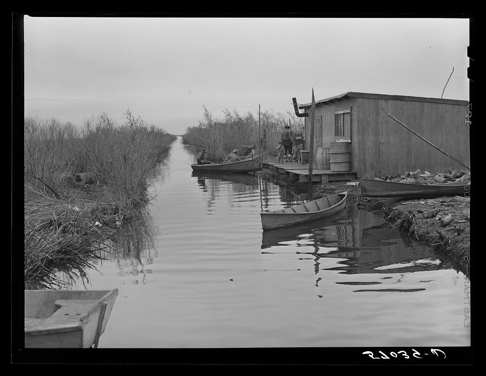 Spanish muskrat trapper's camp with home built piroques (canoes) on the bayou in the marshes near Delacroix Island…