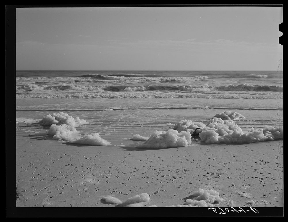 Sea foam left from incoming tides of the Gulf. Near Pensacola, Florida. Sourced from the Library of Congress.
