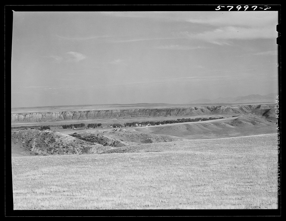 [Untitled photo, possibly related to: Grazing land near Havre, Montana]. Sourced from the Library of Congress.