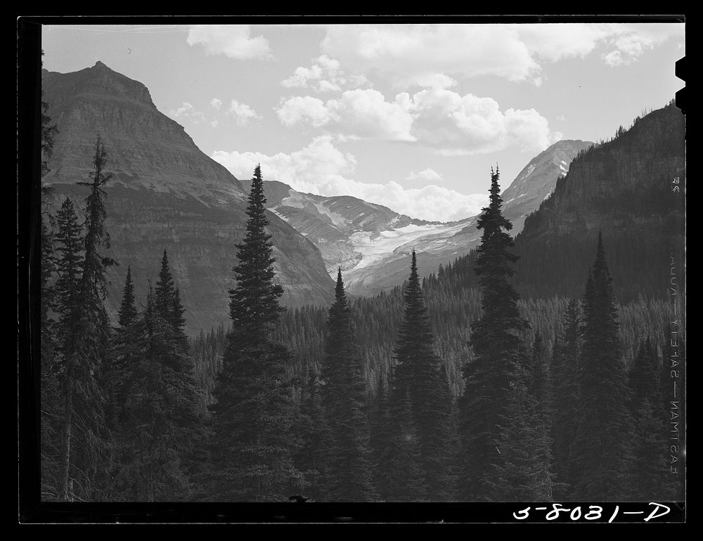 [Untitled photo, possibly related to: Glacier seen from Logan Pass. Going-to-the-Sun highway, Glacier Park, Montana].…