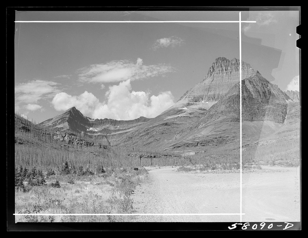 Evidences of forest fire, rocky wall from Many Glacier highway. Glacier National Park, Montana. Sourced from the Library of…