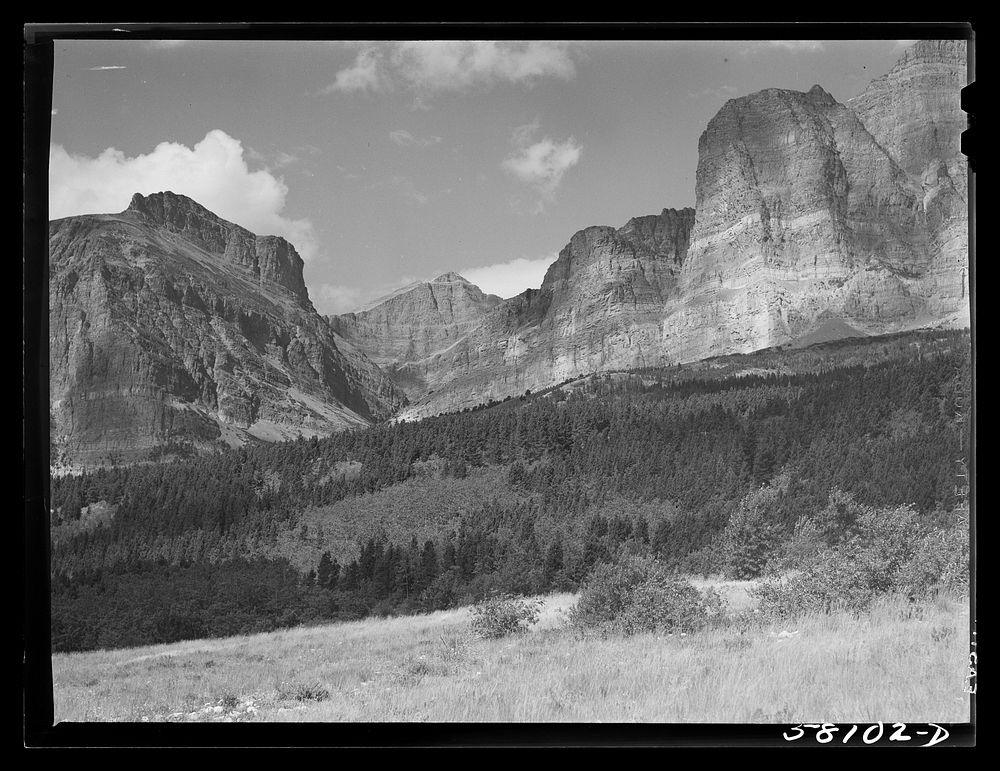 Trees and multi- rock ledges seen from Many Glacier highway. Glacier National Park, Montana. Sourced from the Library of…