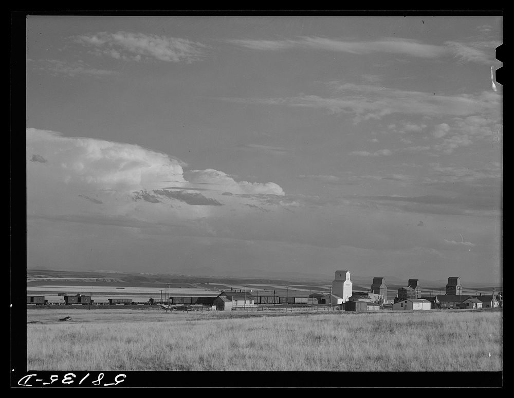 Freight train and grain elevators in Carter, Montana. Sourced from the Library of Congress.