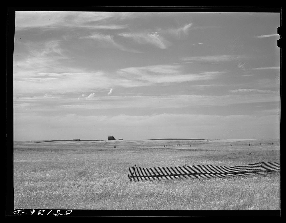 Prairie and pasture land with snow fence and ranch house near Havre Montana. Sourced from the Library of Congress.