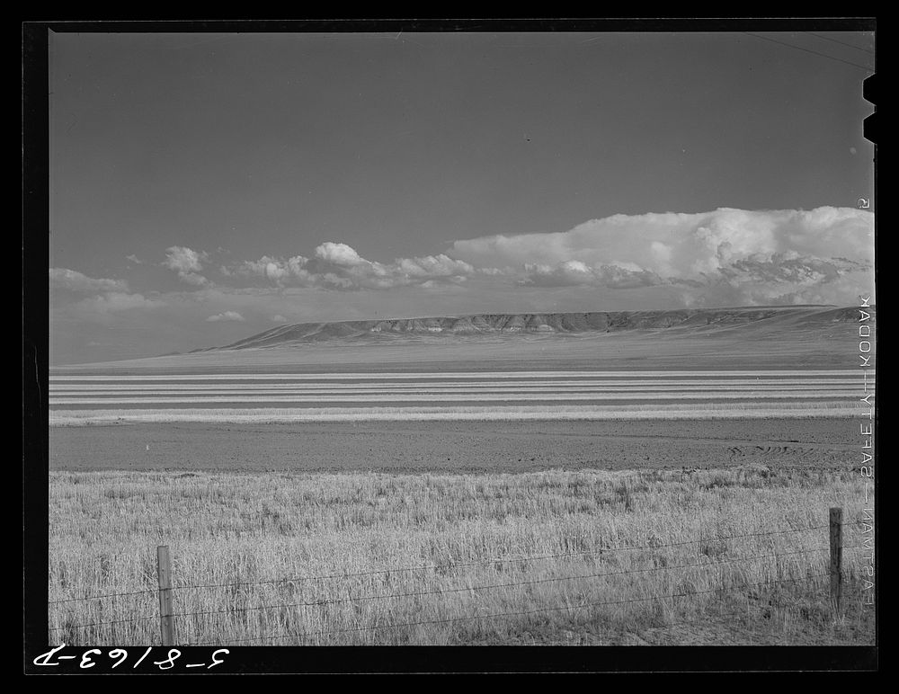Contour ploughing and strip cropping of wheat fields just north of Great Falls, Montana. Sourced from the Library of…