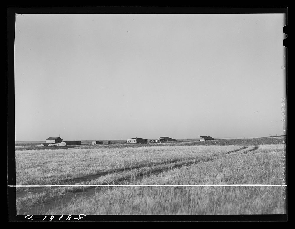 Ranch buildings on prairie land near Havre, Montana. Sourced from the Library of Congress.
