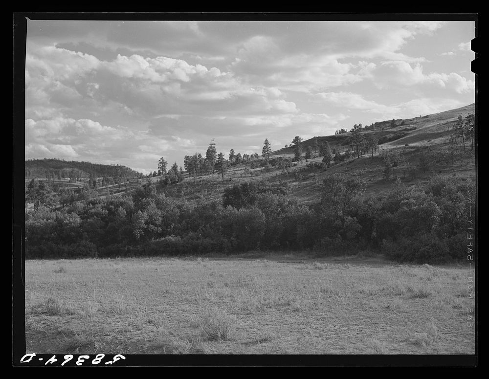 Grazing land between Birney and Lame Deer, Montana. Sourced from the Library of Congress.