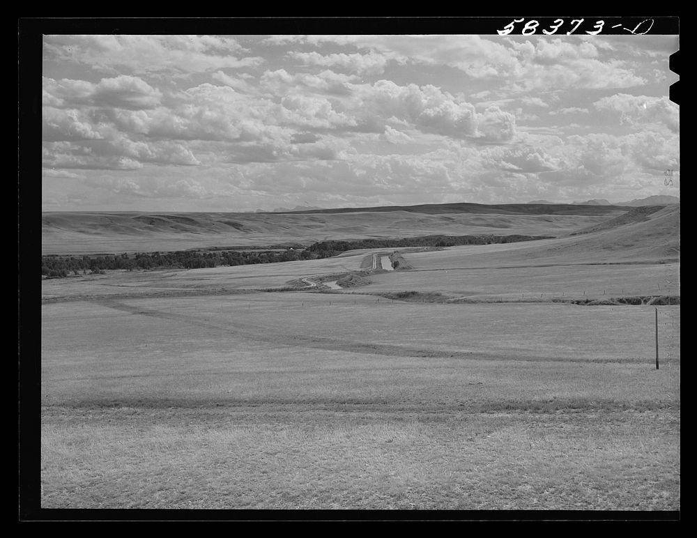 Irrigation ditch across pasture land nrthwest of Great Falls, Montana. Sourced from the Library of Congress.
