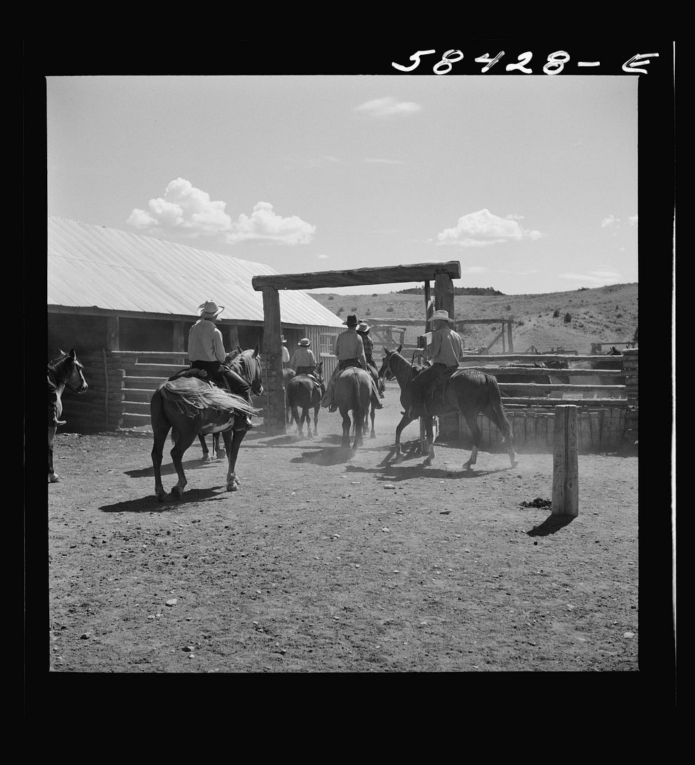 Dudes returning to the corral after a morning ride over the range. Quarter Circle U, Brewster-Arnold Ranch Company. Birney…