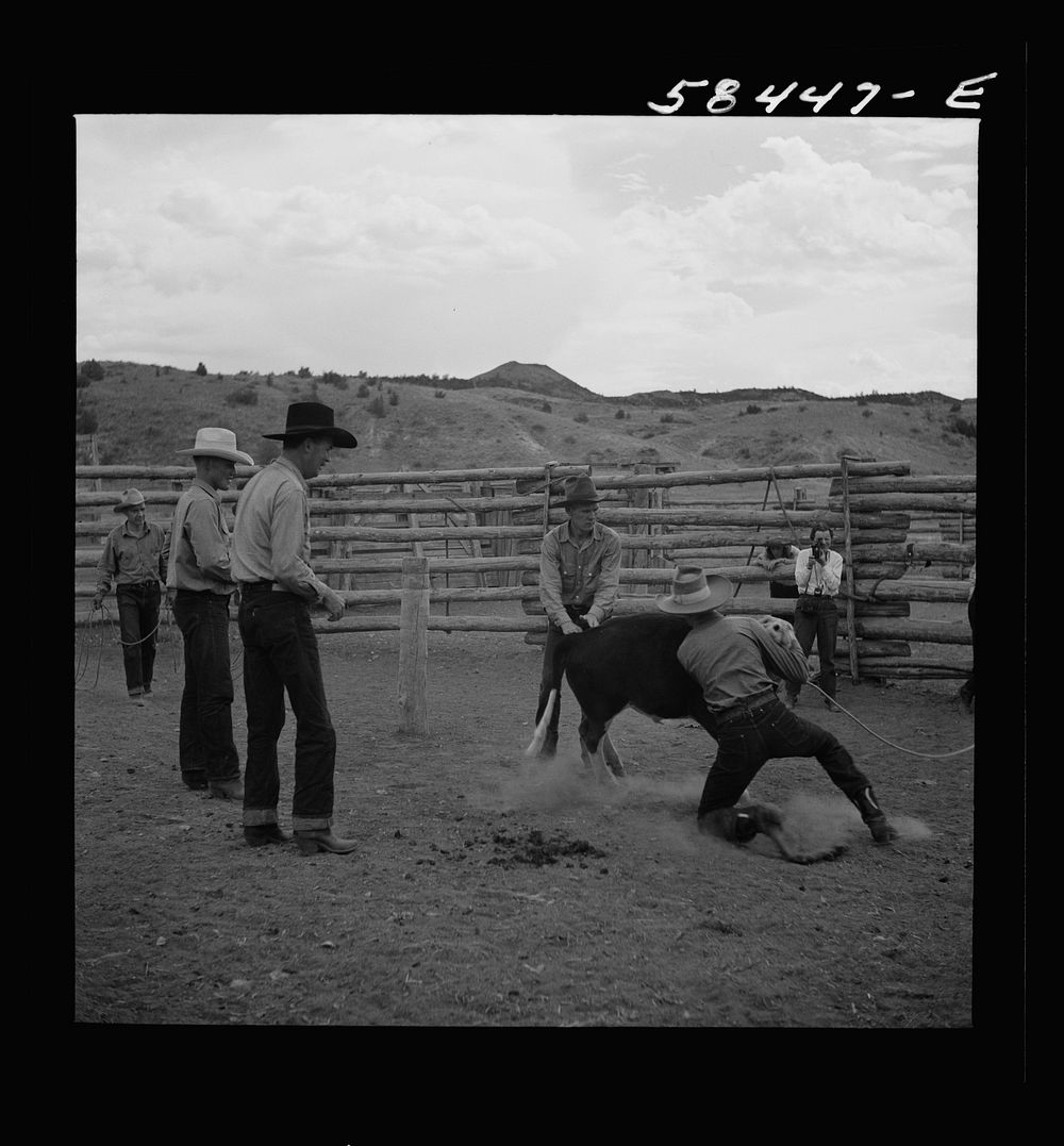 [Untitled photo, possibly related to: Dudes in the corral at Quarter Circle U Ranch. Birney, Montana]. Sourced from the…