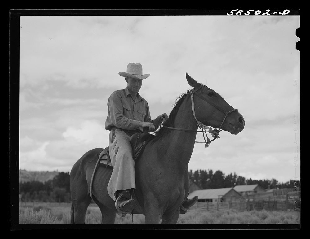 Cowboy training a broncho. Quarter Circle U, Brewster-Arnold Ranch Company. Birney, Montana. Sourced from the Library of…