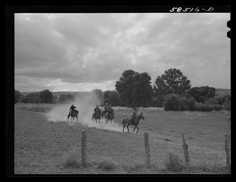 Dudes returning from a morning's ride across the range. Quarter Circle U, Brewster-Arnold Ranch Company. Birney, Montana.…