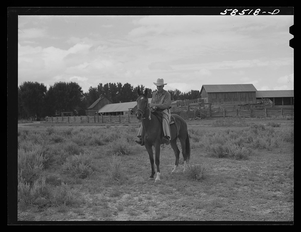 Cowboy training a broncho. Quarter Circle U, Brewster-Arnold Ranch Company. Birney, Montana. Sourced from the Library of…