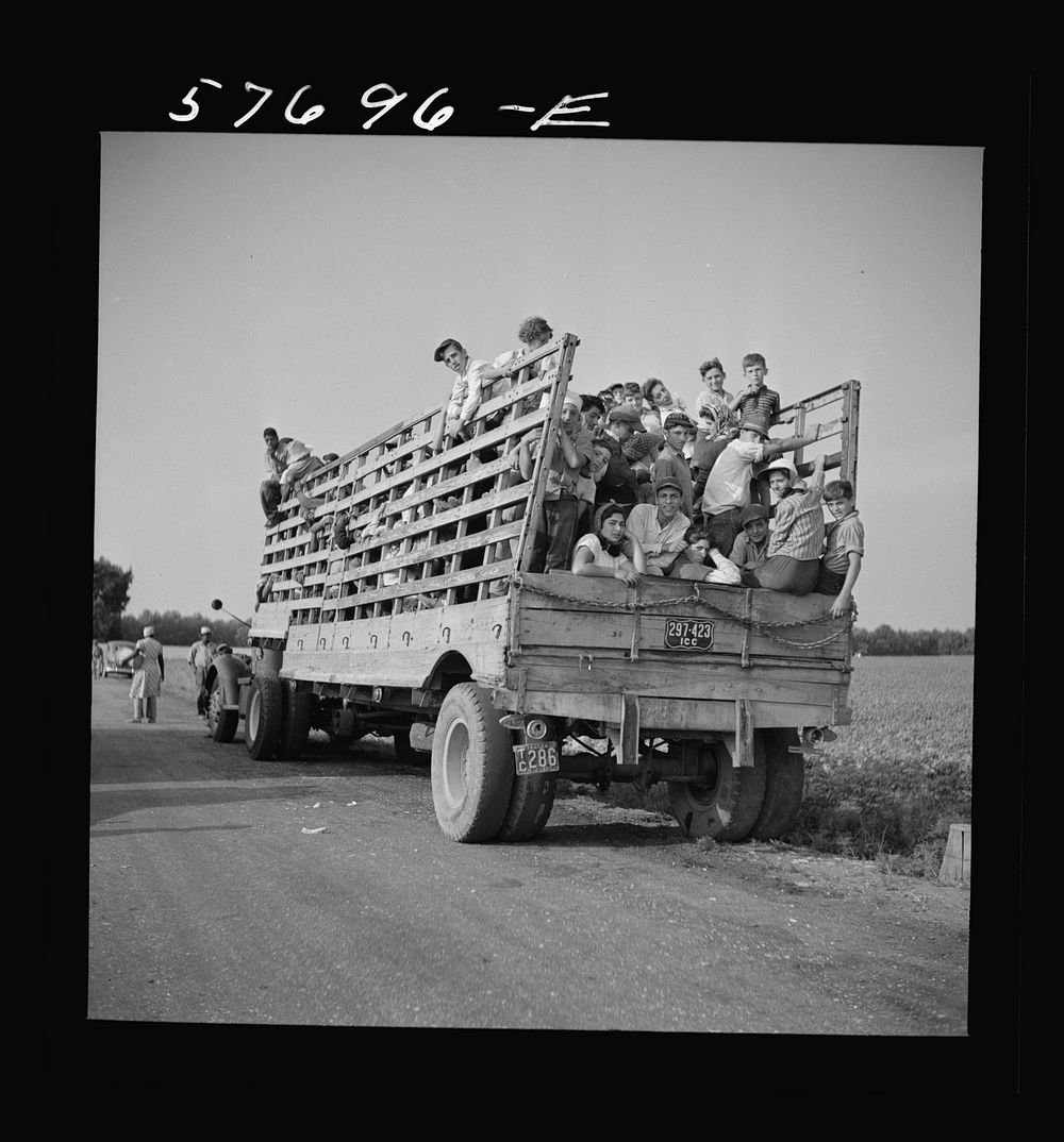 Day laborers to pick string beans are brought by truck from nearby towns.  Some even come in their own cars from…