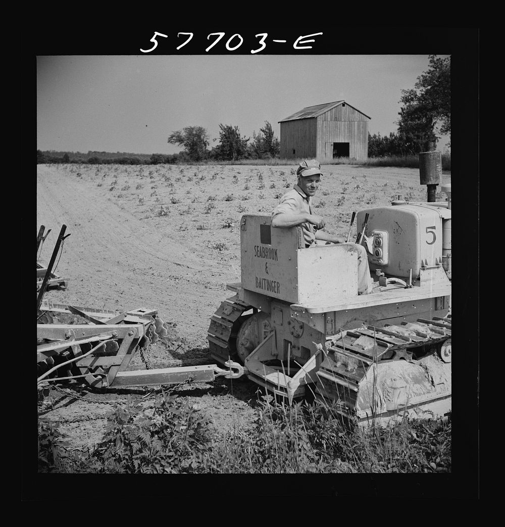 Harrowing fields with diesel tractors at Seabrook Farms. Bridgeton, New Jersey. Sourced from the Library of Congress.