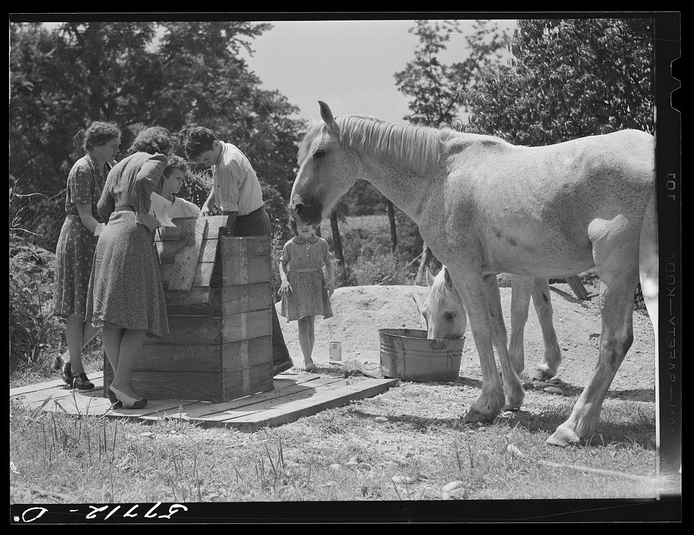 Home supervisor while making home visit to FSA (Farm Security Administration) borrower inspects water supply for repair.…