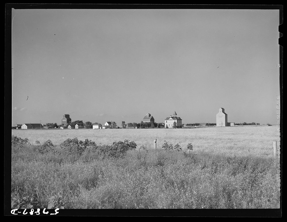 Field of wheat with town and grain elevators in distant horizon. Red River Valley, North Dakota. Sourced from the Library of…