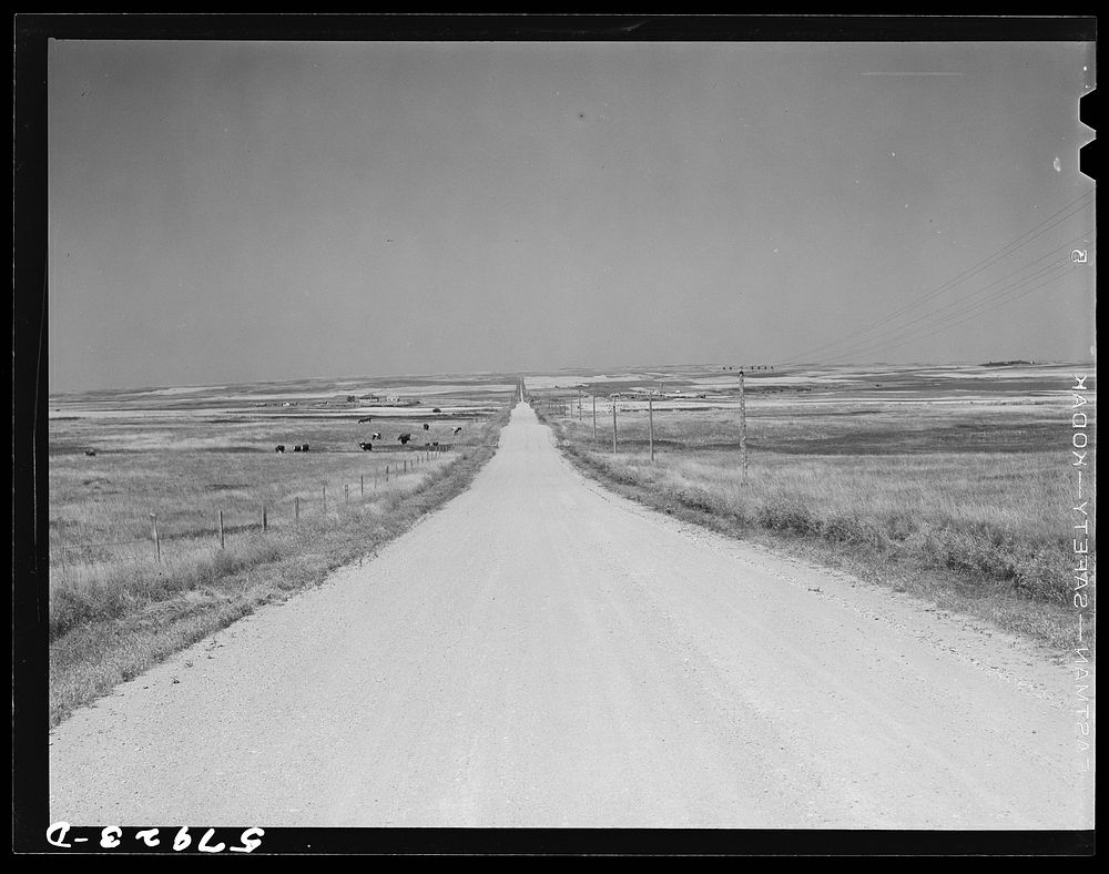 Road across plains near Williston, North Dakota. Sourced from the Library of Congress.