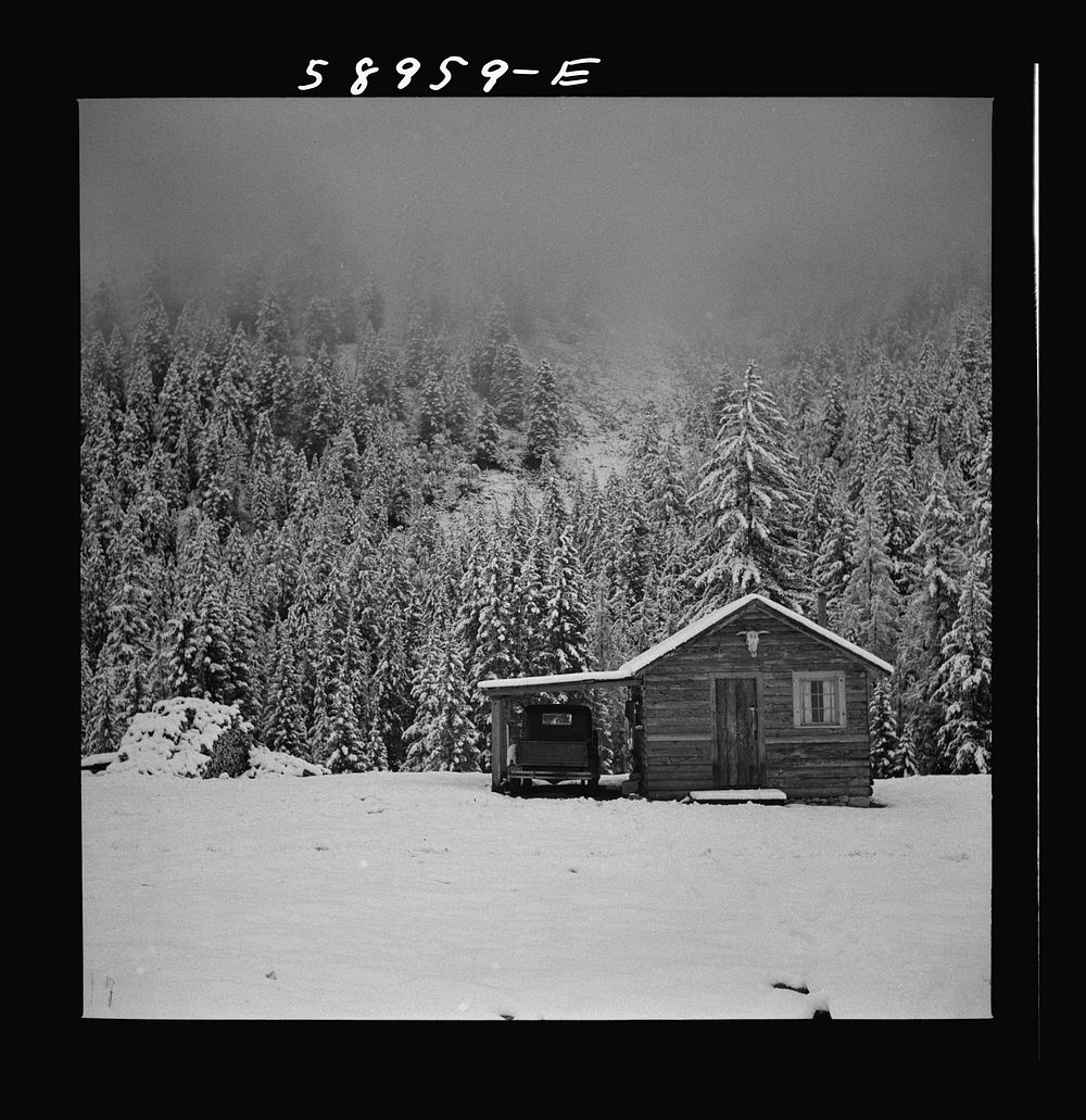 [Untitled photo, possibly related to: Cowhands' cabin on ranch after early fall blizzard in mountains near Aspen, Colorado].…